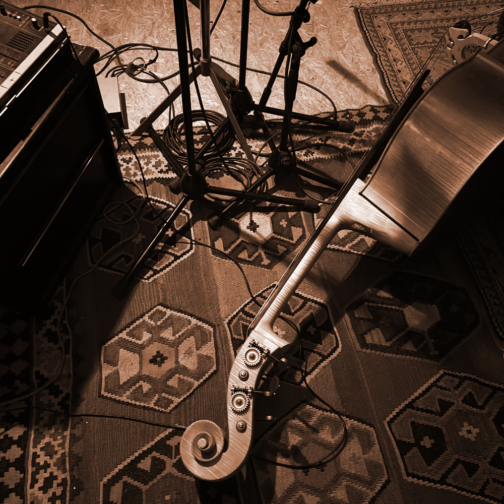 Massimo Pinca — double bass